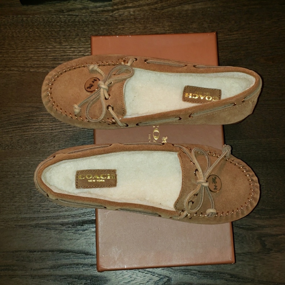 New Coach Dark Camel/Natural Antonia Suede Curly Shearling Slipper Size 7 - Picture 6 of 8